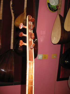 Elektro Saz